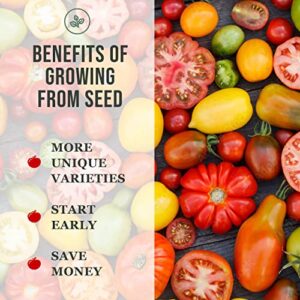 Sow Right Seeds - Roma Tomato Seed for Planting - Non-GMO Heirloom Packet with Instructions to Plant a Home Vegetable Garden - Great Gardening GIF (1)