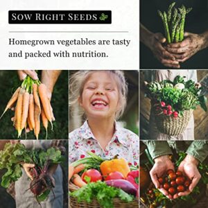 Sow Right Seeds - Roma Tomato Seed for Planting - Non-GMO Heirloom Packet with Instructions to Plant a Home Vegetable Garden - Great Gardening GIF (1)