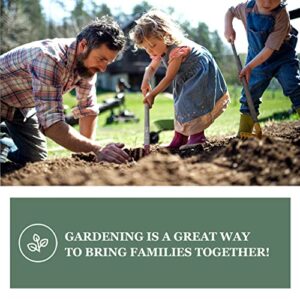 Sow Right Seeds - Roma Tomato Seed for Planting - Non-GMO Heirloom Packet with Instructions to Plant a Home Vegetable Garden - Great Gardening GIF (1)