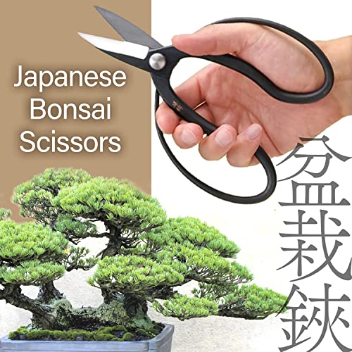 Japanese Suiryu Bonsai Scissors - Traditional Hasami Pruning Shears, Japanese Bonsai Garden Tools, Made in Japan (7.87inch)