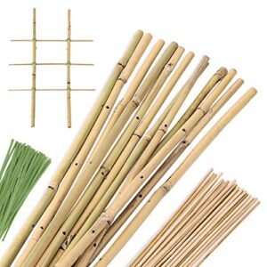 pllieay min bamboo trellis garden trellis plant trellis for climbing plants potted indoor plants, includes 12 pack 16 inch natural bamboo stakes, 50pcs ties and 24pcs bamboo sticks