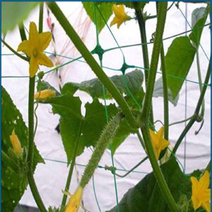 HHTHH Green Trellis Netting 5x60 ft Heavy Duty Garden Trellis Netting Polypropylene Plant Support Net for Climbing Vegetables Fruits Flowers