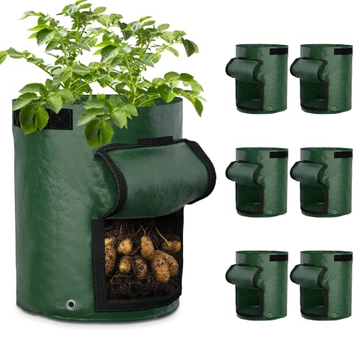 GreatBuddy 10 Gallon Potato Grow Bags 6-Pack, Thick PE Fabric Pots for Plants, Harvest Windows & Sturdy Handles, Labels Included, Green