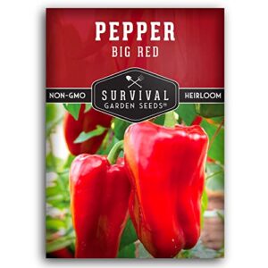survival garden seeds – big red pepper seed for planting – packet with instructions to plant and grow delicious sweet red bell peppers in your home vegetable garden – non-gmo heirloom variety