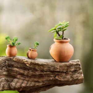 Hiawbon Miniature Tiny Clay Pots Pottery Planter Mini Flower Terra Cotta Pots for DIY Garden Plants and Office/Desktop/Windowsill Decoration ,8 Pcs