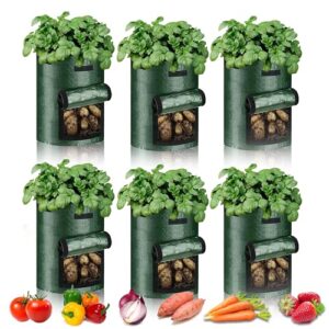 10 gallon potato bag-6 packs, breathable plant bag with windows and handles for tomatoes, carrots, fruits and garden pots (dark green)