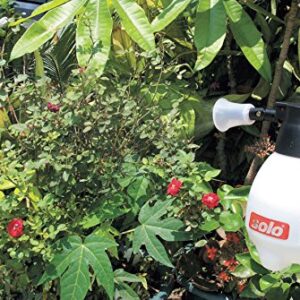 SOLO 418 2 Liter One-Hand Pressure Sprayer, Red and White