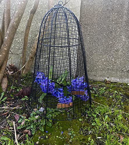 RUAFOX 6 Pack Metal Garden Cloches - 20" High Plant Cover - Weather Resistant Wire Plant Dome - Rustic Farmhouse Chic Decor - with 12 Copper Labels