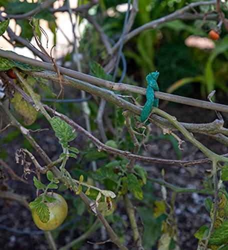 Twigs GA - SUPER Sof-T-Tie. (Single Pack) Soft, Foam Covered Wire for Plant Support. Great Tomato Ties , Grape Ties. Any Fast Growing, Fragile Plant in the Garden Ties.