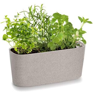 amazing creation windowsill rectangular self watering herb garden, plastic planter pot for herbs, greens, flowers, house plants and succulents, indoor/outdoor flower pot (stone color)