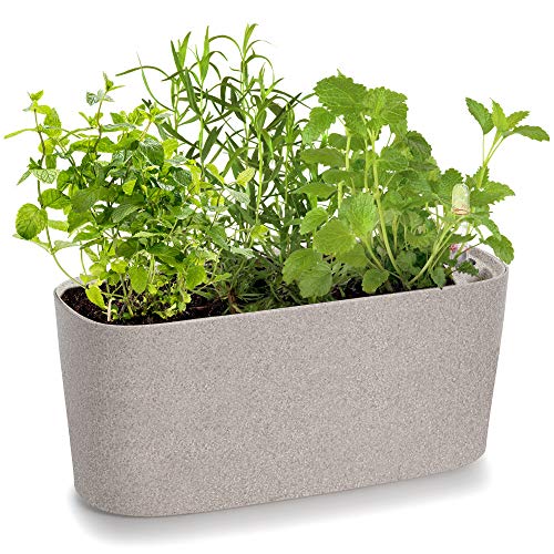 Amazing Creation Windowsill Rectangular Self Watering Herb Garden, Plastic Planter Pot for Herbs, Greens, Flowers, House Plants and Succulents, Indoor/Outdoor Flower Pot (Stone Color)