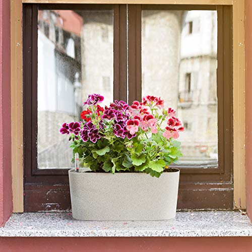 Amazing Creation Windowsill Rectangular Self Watering Herb Garden, Plastic Planter Pot for Herbs, Greens, Flowers, House Plants and Succulents, Indoor/Outdoor Flower Pot (Stone Color)