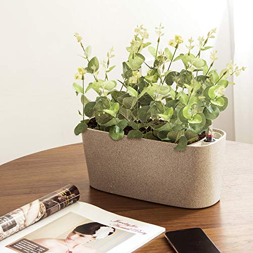 Amazing Creation Windowsill Rectangular Self Watering Herb Garden, Plastic Planter Pot for Herbs, Greens, Flowers, House Plants and Succulents, Indoor/Outdoor Flower Pot (Stone Color)