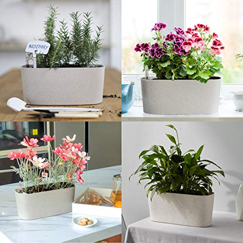 Amazing Creation Windowsill Rectangular Self Watering Herb Garden, Plastic Planter Pot for Herbs, Greens, Flowers, House Plants and Succulents, Indoor/Outdoor Flower Pot (Stone Color)