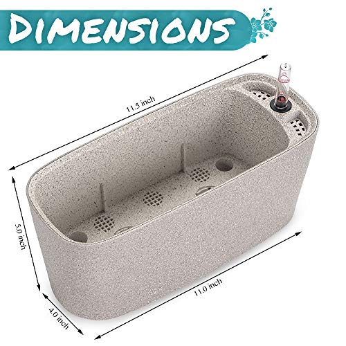 Amazing Creation Windowsill Rectangular Self Watering Herb Garden, Plastic Planter Pot for Herbs, Greens, Flowers, House Plants and Succulents, Indoor/Outdoor Flower Pot (Stone Color)