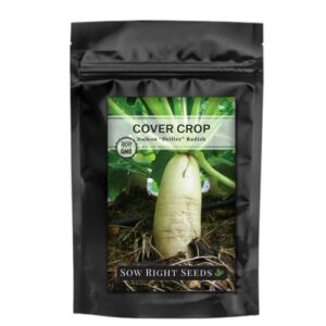 Sow Right Seeds - Driller Daikon Radish Bulk Seed for Planting - 1 lb - Cover Crops to Plant in Your Home Vegetable Garden - Improves Soil Texture - Suppresses Weeds - Non-GMO Heirloom Seeds