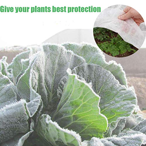 Kasbon Plant Covers Freeze Protection & Plant Blanket Fabric 8Ft x 26Ft Rectangle Plant Cover for Winter Frost Protection & Plant Growth Season(Includes 6pcs Garden Stakes)