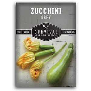 survival garden seeds – grey zucchini seed for planting – packet with instructions to plant and grow mexican summer squash in your home vegetable garden – non-gmo heirloom variety