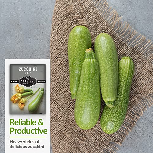 Survival Garden Seeds - Grey Zucchini Seed for Planting - Packet with Instructions to Plant and Grow Mexican Summer Squash in Your Home Vegetable Garden - Non-GMO Heirloom Variety