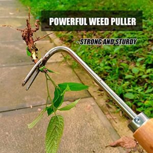 GETYIYI Weed Puller with V-Shape Weeder Weeding Tools for Garden Weed Removal Tool with Solid Wood Handle（Double Hook）