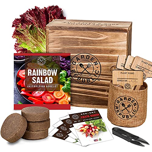 Indoor Garden Vegetable Seed Starter Kit - Rainbow Salad Grow Kit, Non GMO Heirloom Seeds for Planting, Wood Planter Box, Soil, Pots, Plant Markers, DIY Home Gardening Gifts for Plant Lovers