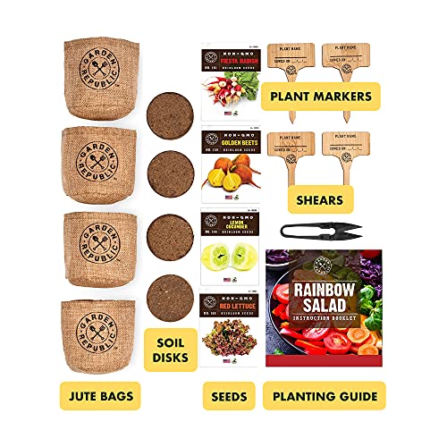 Indoor Garden Vegetable Seed Starter Kit - Rainbow Salad Grow Kit, Non GMO Heirloom Seeds for Planting, Wood Planter Box, Soil, Pots, Plant Markers, DIY Home Gardening Gifts for Plant Lovers