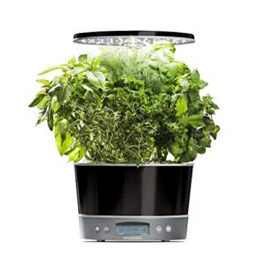 aerogarden harvest elite 360 with gourmet herb seed pod kit – hydroponic indoor garden, platinum stainless
