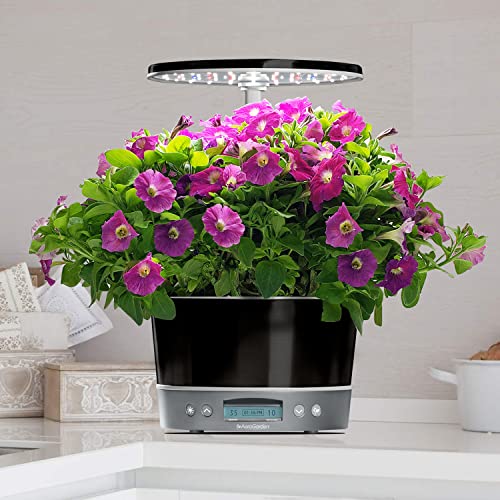 AeroGarden Harvest Elite 360 with Gourmet Herb Seed Pod Kit - Hydroponic Indoor Garden, Platinum Stainless