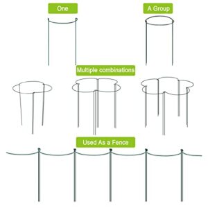 HiGift 8 Pack Plant Support Stakes, 10" Wide x 24" High Half Round Metal Garden Plant Stake Peony Plant Support Cage, Green Plant Support Ring Border for Tomato,Hydrangea,Flower Indoor Outdoor