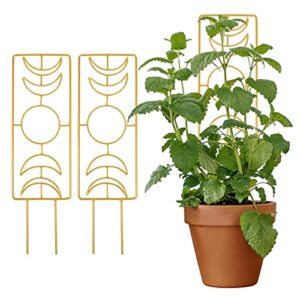 2 pack metal plant trellis for climbing plants indoor,14 inch garden small trellis for potted plants,moon phase houseplant trellis for pothos monstera(gold)
