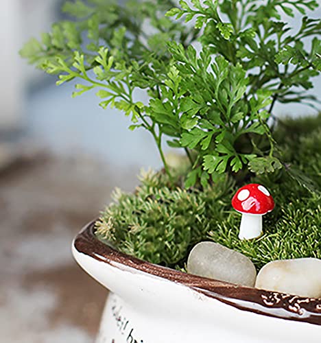 38 Pcs Mini Hedgehog Mushroom Miniature Figurines Fairy Garden Miniature Moss Landscape DIY Terrarium Crafts Ornament Accessories for Home Décor