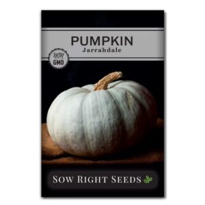 Sow Right Seeds - Jarrahdale Pumpkin Seeds for Planting - Non-GMO Heirloom Packet with Instructions to Plant & Grow an Outdoor Home Vegetable Garden - Unique Productive - Wonderful Gardening Gift