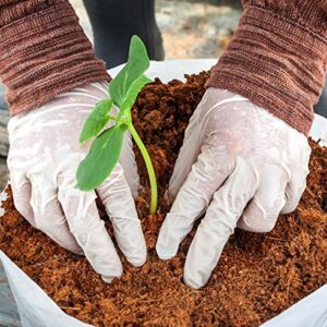 Premium Coco Coir Brick - 11 Pound / 5KG Coconut Coir - 100% Organic and Eco-Friendly - OMRI Listed - Natural Compressed Growing Medium - Potting Soil Substrate for Gardens, Seeds and Plants