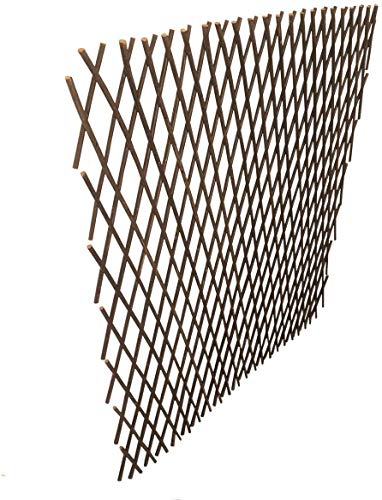 Sumery Nature Willow Trellis Expandable Plant Support Plant Climbing Lattices Trellis Willow Expandable Trellis Fence for Climbing Plants Support 36x92 Inch,Double Panel (1, Willow Wicker Fence)