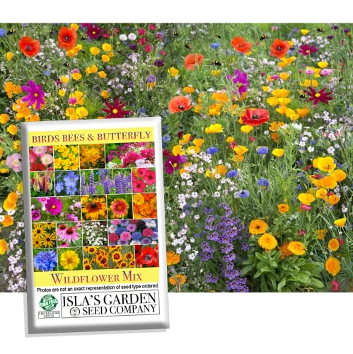 Birds, Bees, and Butterflies Mix Flower Seeds, 500+ Seeds Per Packet, Variety of Wildflowers! (Isla's Garden Seeds), Non GMO & Heirloom Seeds, Great Flower Mix for Home Garden Landscape