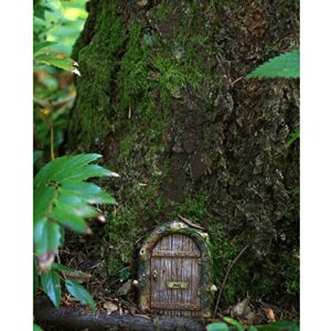 Top Collection Miniature Fairy Garden Mystical Gnome Home Door