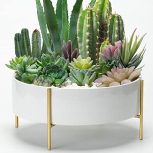 kimisty 10 inch large round succulent planter bowl with gold metal plant stand, white ceramic pot with drainage, succulent garden shallow pot, centerpiece tabletop