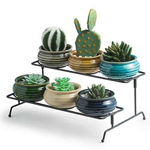 Succulent Plant Pots Stand 6pcs Indoor Plants Live 2 Tier Decorative Ceramic Small Plant Pots with Stand Holder Mini Flower Pots Gifts for Plant Lovers Home Office Desk Garden Mini Cactus Pot