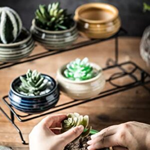 Succulent Plant Pots Stand 6pcs Indoor Plants Live 2 Tier Decorative Ceramic Small Plant Pots with Stand Holder Mini Flower Pots Gifts for Plant Lovers Home Office Desk Garden Mini Cactus Pot