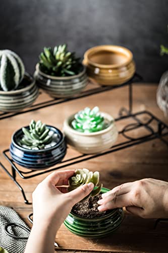 Succulent Plant Pots Stand 6pcs Indoor Plants Live 2 Tier Decorative Ceramic Small Plant Pots with Stand Holder Mini Flower Pots Gifts for Plant Lovers Home Office Desk Garden Mini Cactus Pot