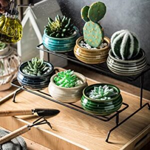 Succulent Plant Pots Stand 6pcs Indoor Plants Live 2 Tier Decorative Ceramic Small Plant Pots with Stand Holder Mini Flower Pots Gifts for Plant Lovers Home Office Desk Garden Mini Cactus Pot