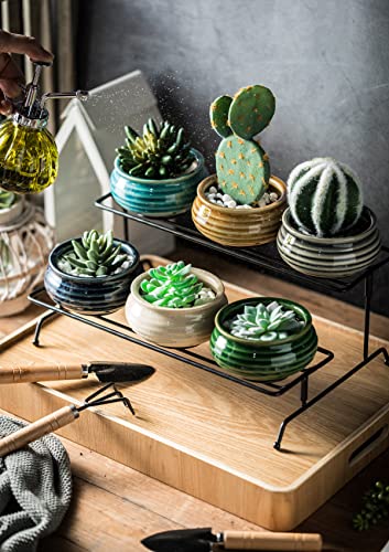 Succulent Plant Pots Stand 6pcs Indoor Plants Live 2 Tier Decorative Ceramic Small Plant Pots with Stand Holder Mini Flower Pots Gifts for Plant Lovers Home Office Desk Garden Mini Cactus Pot