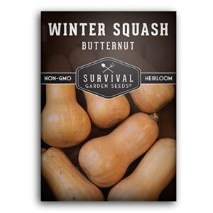 survival garden seeds – butternut squash seed for planting – packet with instructions to plant and grow winter squash plants in your home vegetable garden – non-gmo heirloom variety – 1 pack