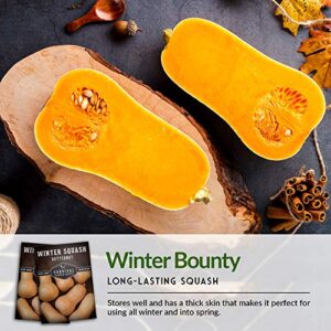 Survival Garden Seeds - Butternut Squash Seed for Planting - Packet with Instructions to Plant and Grow Winter Squash Plants in Your Home Vegetable Garden - Non-GMO Heirloom Variety - 1 Pack