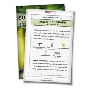 Sow Right Seeds - Straight Neck Yellow Summer Squash Seed for Planting - Non-GMO Heirloom Packet with Instructions to Plant a Home Vegetable Garden - Great Gardening Gift (1)