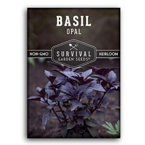 survival garden seeds – opal basil seed for planting – packet with instructions to plant and grow delicious & unique purple basil herb plants in your home vegetable garden – non-gmo heirloom variety