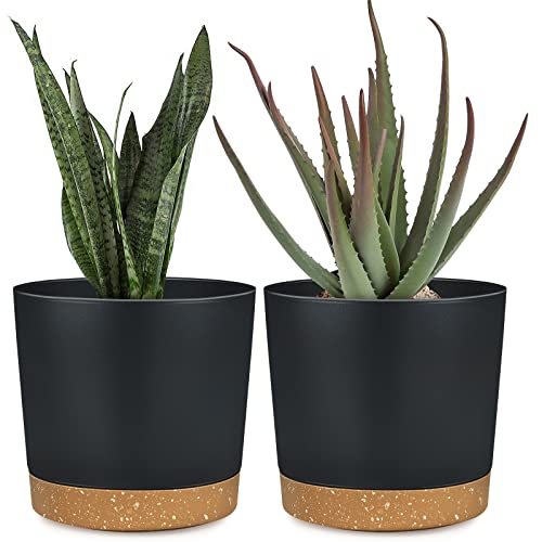 Plant Pots for Indoor Plants 6.5 Inch, Plastic Flower Pots with Drainage Holes and Saucers Home Garden Outdoor Decorative Black Modern House Planters for Herbs/Aloes/Succulents Planting 2 Pack