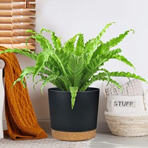 Plant Pots for Indoor Plants 6.5 Inch, Plastic Flower Pots with Drainage Holes and Saucers Home Garden Outdoor Decorative Black Modern House Planters for Herbs/Aloes/Succulents Planting 2 Pack