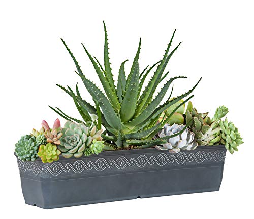 Classic Home and Garden 9418D-515 18" Corinthian Trough planter, Storm