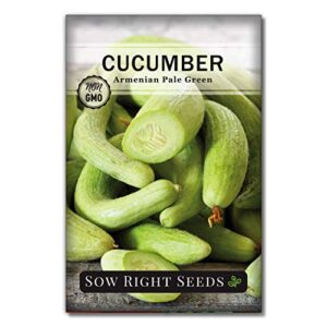 sow right seeds – armenian pale green cucumber seeds for planting – non-gmo heirloom seeds with instructions to plant and grow a home vegetable garden, great gardening gift (1)